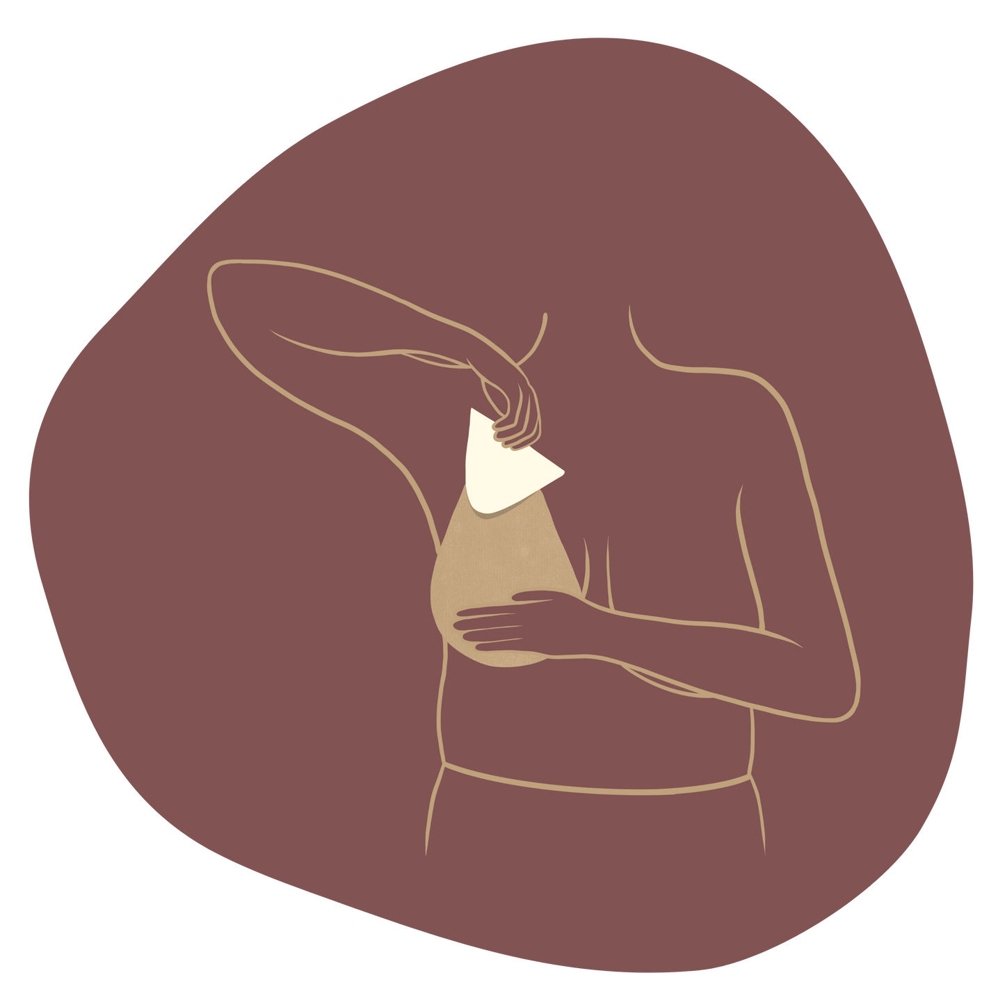Sample Lift & Hold Bras